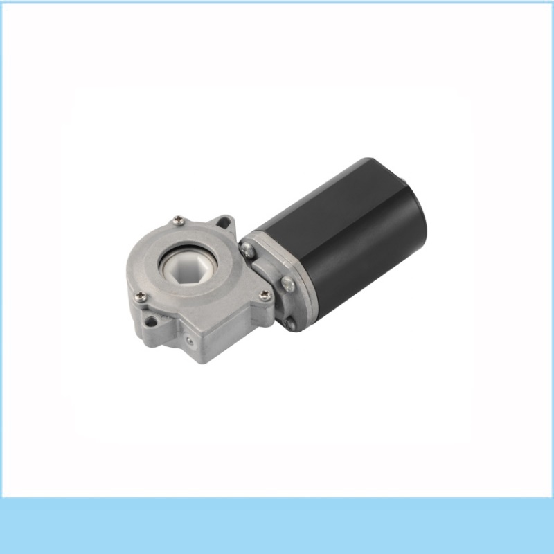 YLDG-3020D024 Brushed DC Reduction Motor