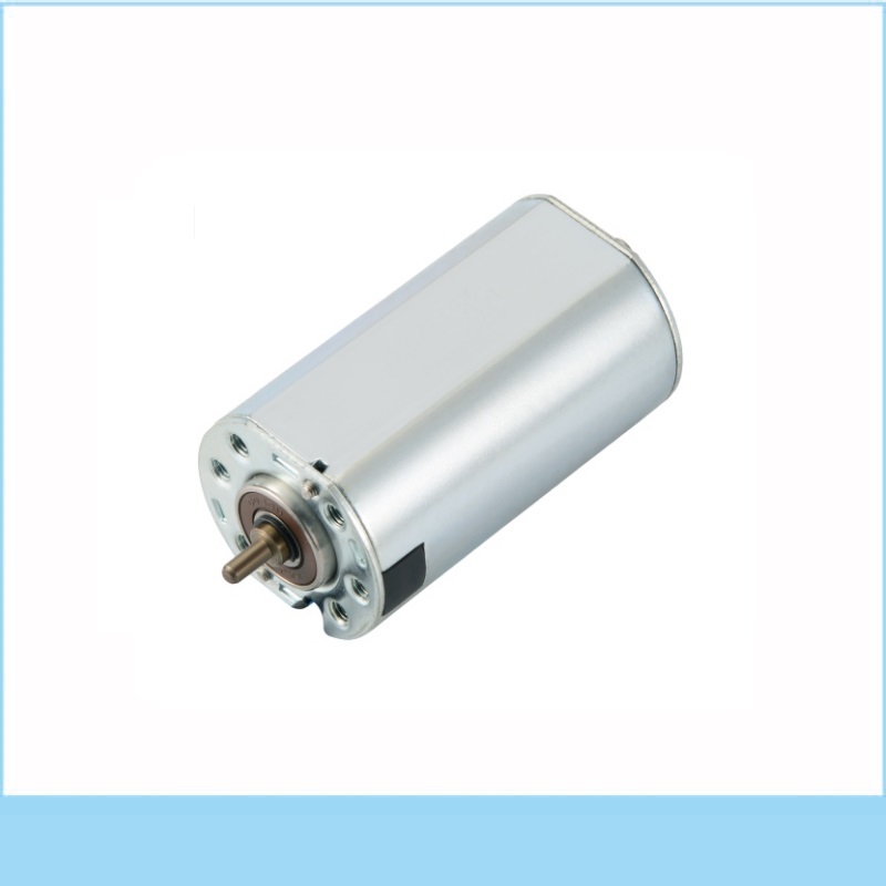 YLD-3029D012 Brushed DC Motor